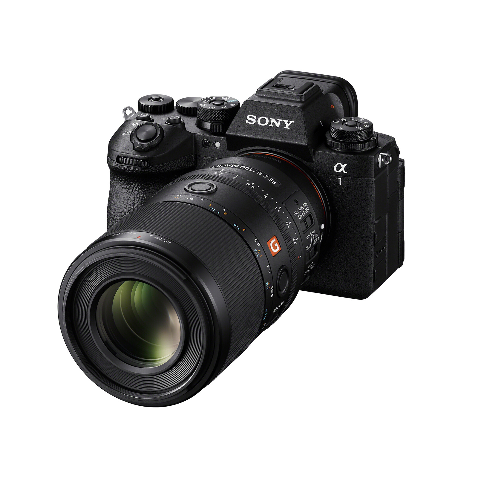 Sony FE 100 mm f/2.8 Macro G Master OSS - Imagen 2