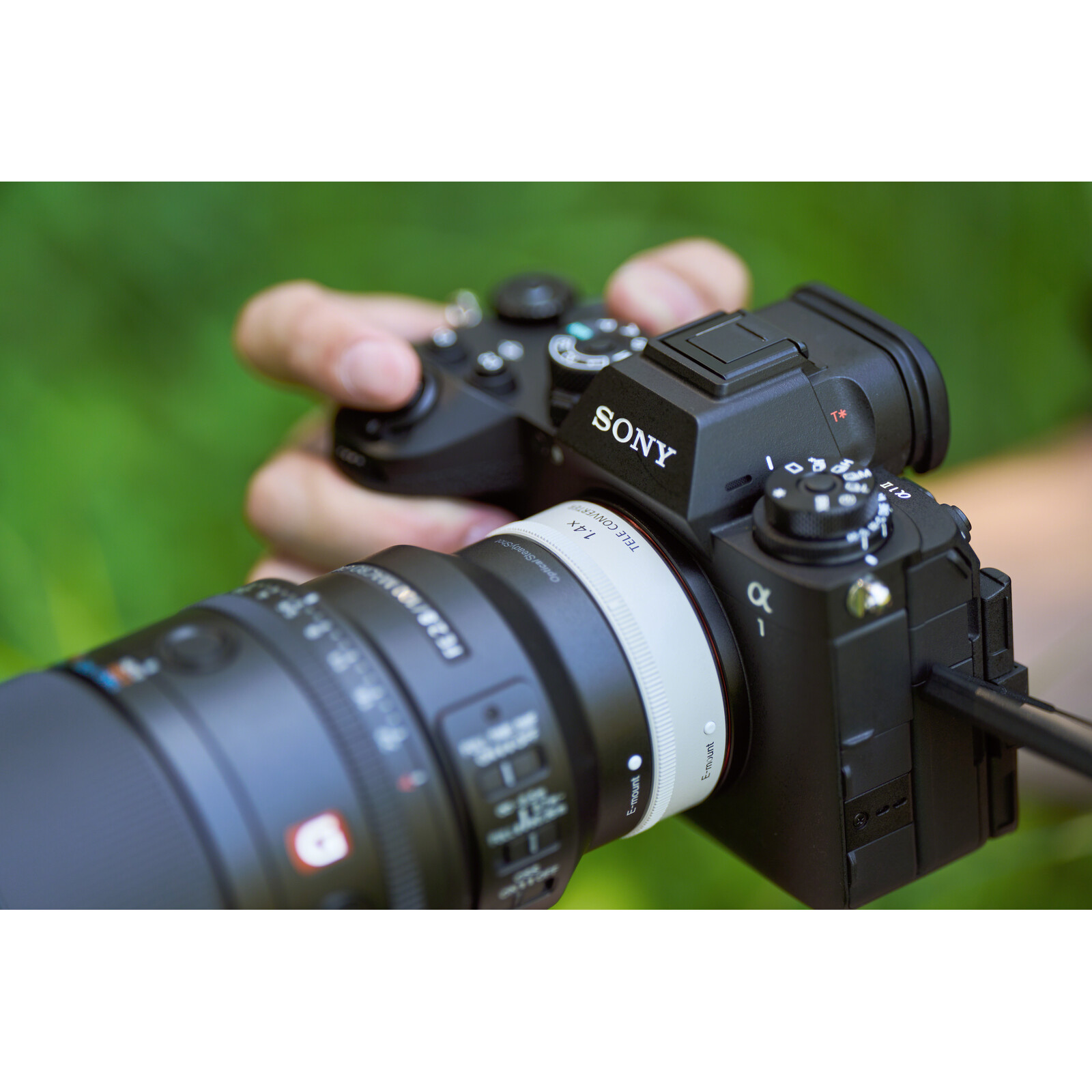 Sony FE 100 mm f/2.8 Macro G Master OSS - Imagen 3