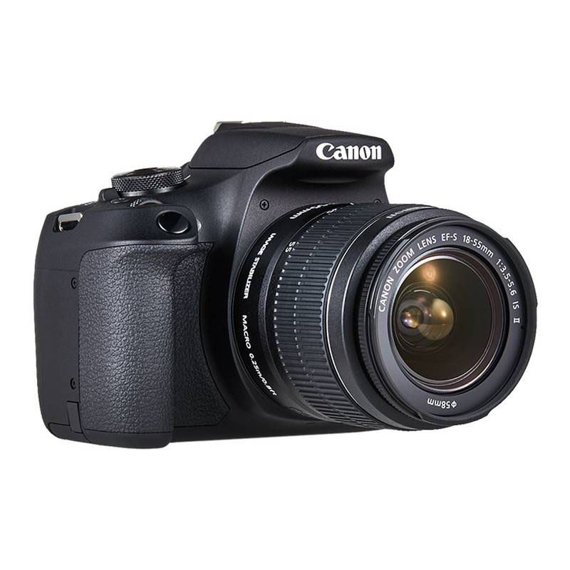 Canon EOS 2000D + Canon 18–55 mm f/3,5–5,6 DC III - Imagen 8