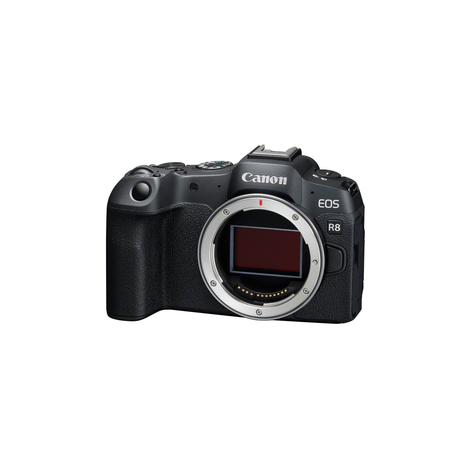 Canon EOS R8 Body