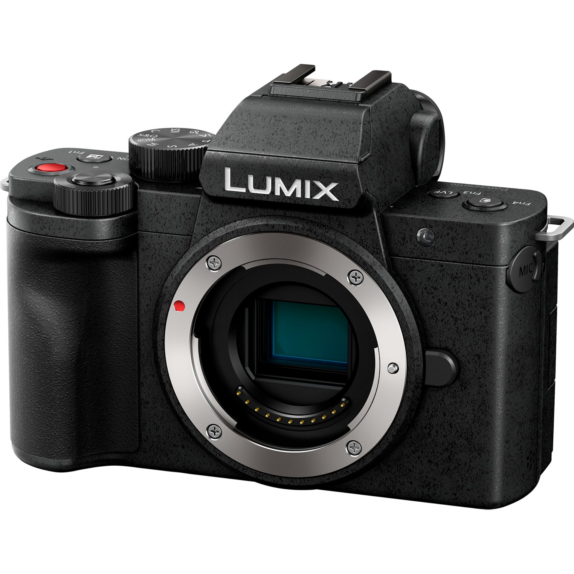 Panasonic Lumix DC-G100D + Lumix G Vario 12-32mm f/3.5-5.6 ASPH OIS + Lumix G Vario 45-150mm f/4.0-5.6 OIS - Imagen 4